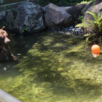 Sequoia Park Zoo - Zoos Near Me - Eureka, California Sequoia Park Zoo - Zoos Near Me - Eureka, California