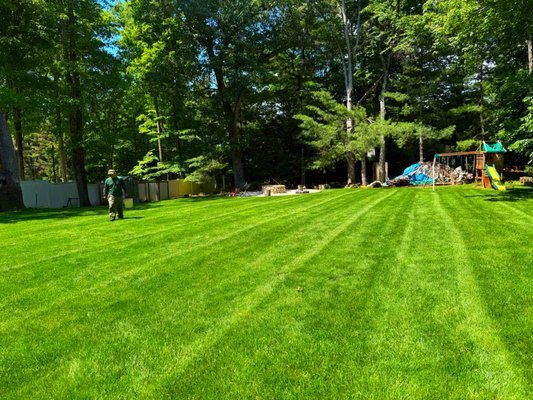Two Gen Landscaping on Yelp