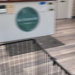 All Fluffed Up Dog Grooming Salon