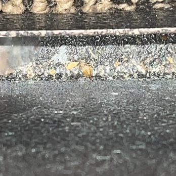 Comfort Inn & Suites - Bedbugs - Hotels Near Me - Mount Pocono, Pennsylvania