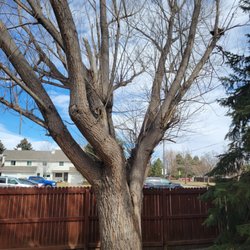 Roy's Tree Service