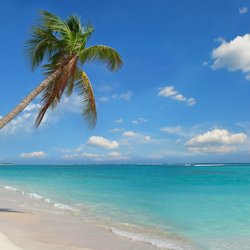 NHS Voyages - Escape to Your Next Voyage!