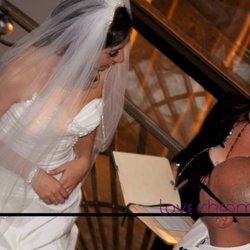 Just Bee Cuz - Wedding Officiant