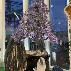 Psychic Sylvia - The tree of life