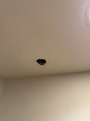 PlumpJack Inn by null