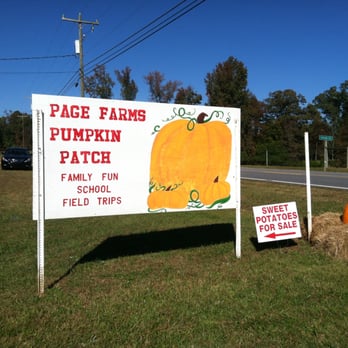Page Farms - Pumpkin Patch - Fruits & Veggies Near Me - Raleigh, North Carolina Page Farms - Pumpkin Patch - Fruits & Veggies Near Me - Raleigh, North Carolina