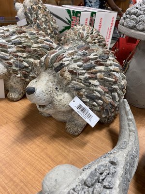 TJ MAXX - Updated September 2025 - 15 Photos & 18 Reviews - 3411 Fort