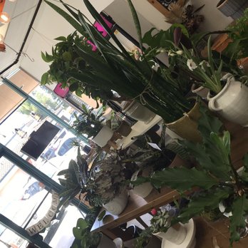 Bloom In Box - Florists Near Me - La Palma, California Bloom In Box - Florists Near Me - La Palma, California