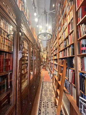 Old Florida Book Shop by null