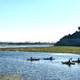 Photo of Upper Newport Bay Nature Preserve
