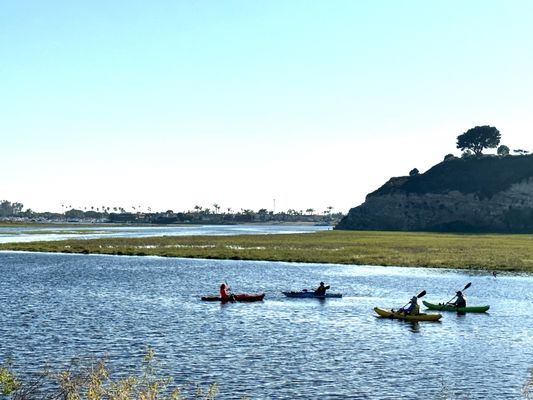 Upper Newport Bay Nature Preserve by null