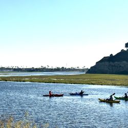 Upper Newport Bay Nature Preserve