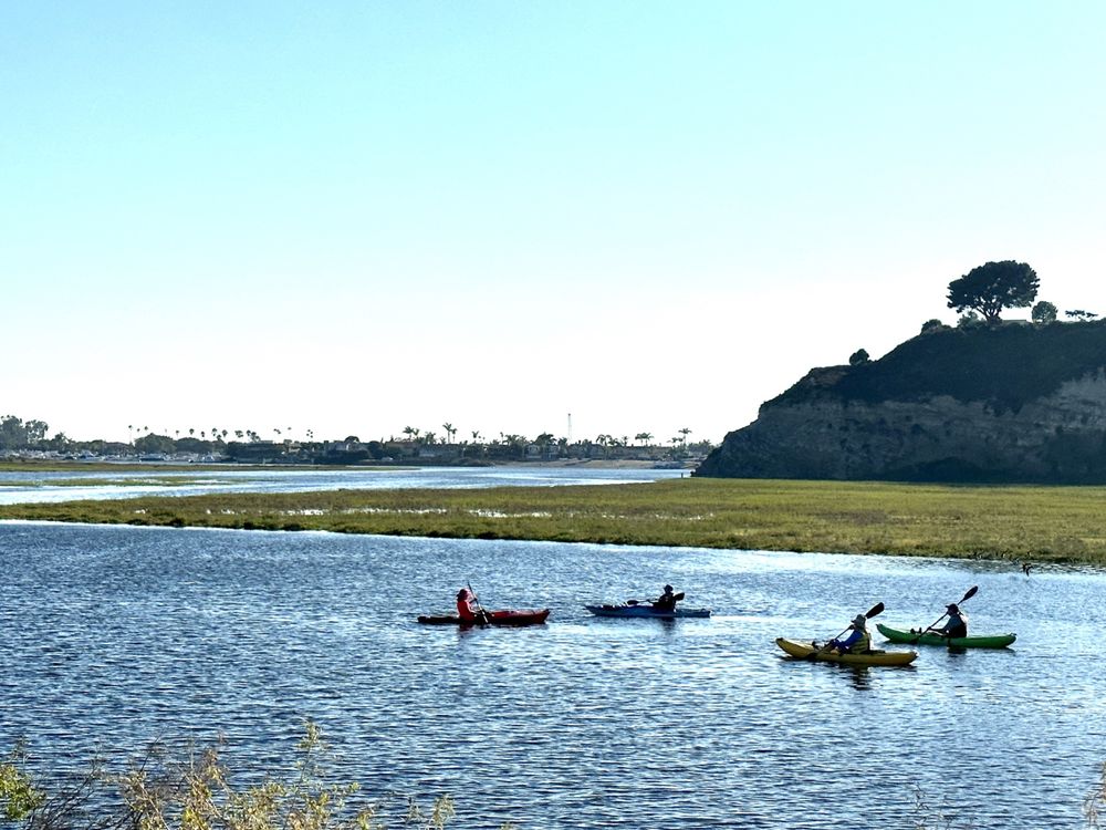 Upper Newport Bay Nature Preserve