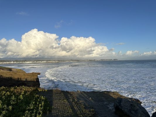 Lighthouse Field State Beach by null