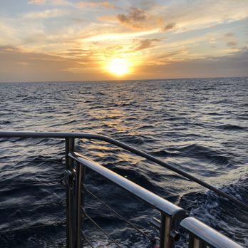 Capt Andy's - Boat Tours Near Me - Ele'ele, Hawaii Capt Andy's - Boat Tours Near Me - Ele'ele, Hawaii