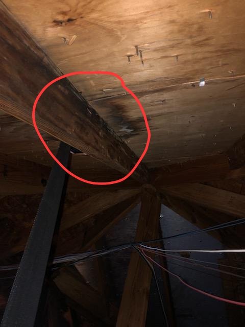 Slide of Braun's Roofing