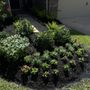 CEA Landscaping And Maintenance