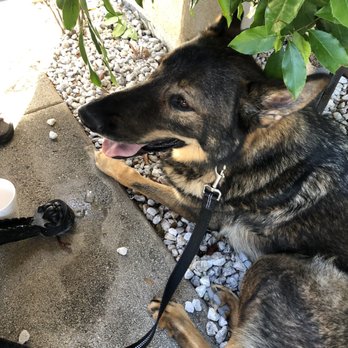 Toast - A happy and dog friendly restaurant - Breakfast & Brunch Near Me - Temecula, California Toast - A happy and dog friendly restaurant - Breakfast & Brunch Near Me - Temecula, California