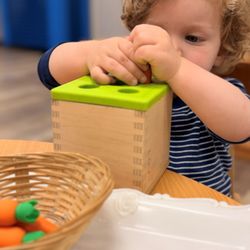 Stars Montessori Academy