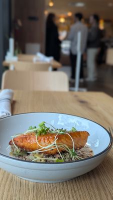 Dish Society by null