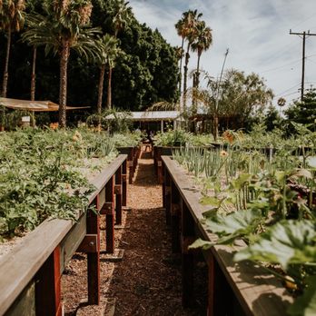 Riverbed Farm photo 3