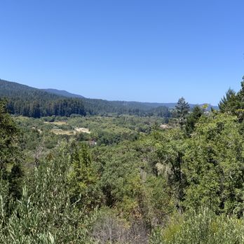 Toulouse Vineyards and Winery - View from the balcony - Wineries Near Me - Philo, California