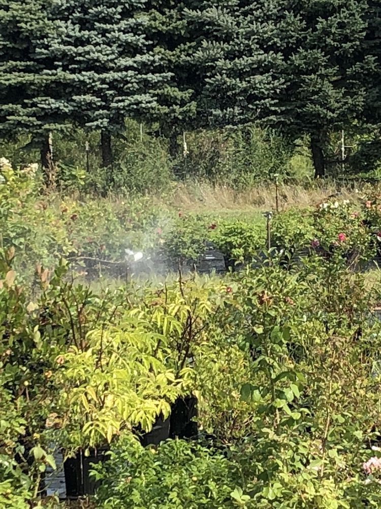 SAM KEDEM NURSERY & GARDEN Updated August 2024 12414 191st St E