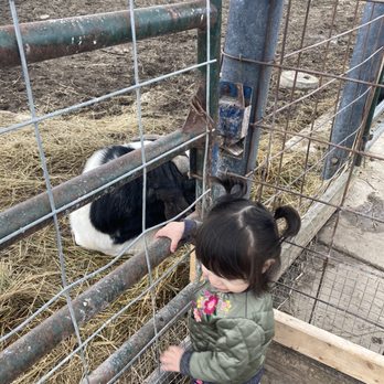 Children's Farm - Tours Near Me - Palos Park, Illinois