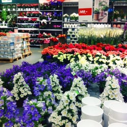 Plantasjen Vinderen - Et hav av blomster