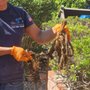 Properly Done Rooter & Plumbing Service