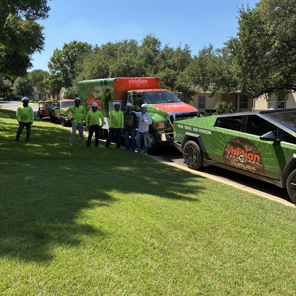 Viridian Tree Care - Tree Services Near Me Viridian Tree Care - Tree Services Near Me