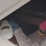 Photo of 1 Day Mold Removal
