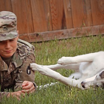 27Wolf Photography - Pet Photography Near Me 27Wolf Photography - Pet Photography Near Me