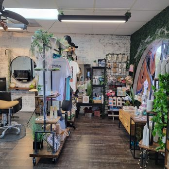 Studio C By Carolyn Romero - Hair Stylists Near Me - Altamonte Springs, Florida