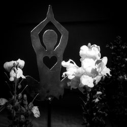 Bodhi Tree Yoga Studio