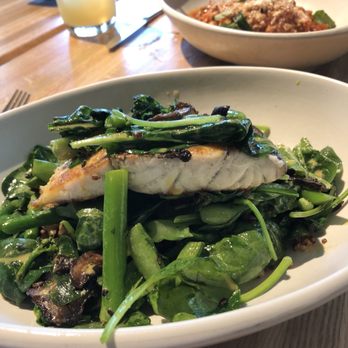 True Food Kitchen - Sea Bass - Vegetarian Near Me - Plano, Texas True Food Kitchen - Sea Bass - Vegetarian Near Me - Plano, Texas