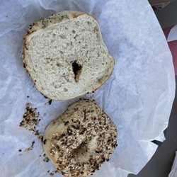 Shelly Belly NY Bagels - Everything bagel