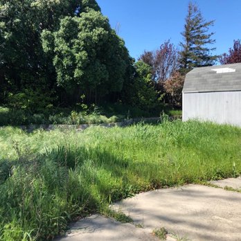All Season Landscaping - Before. It's a jungle. - Landscaping Near Me All Season Landscaping - Before. It's a jungle. - Landscaping Near Me
