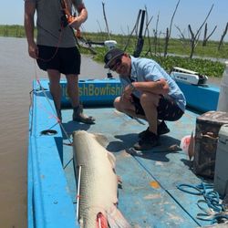 Big Fish Bowfishing