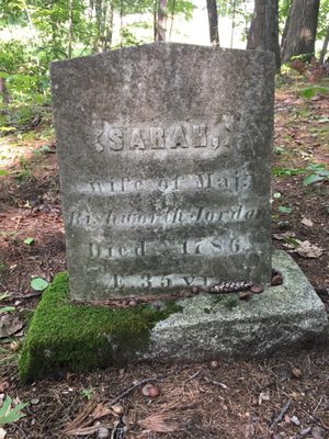 Clifford Park by null