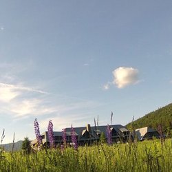 AMC Highland Center at Crawford Notch