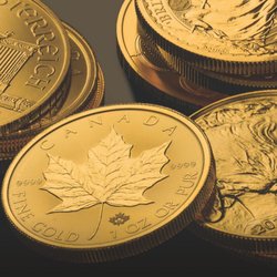 Canada Gold - Calgary North