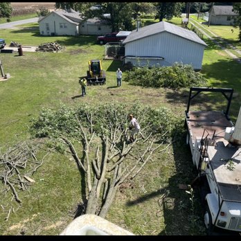 Countryside Tree Service - Removal - Tree Services Near Me - Chaffee, Missouri Countryside Tree Service - Removal - Tree Services Near Me - Chaffee, Missouri