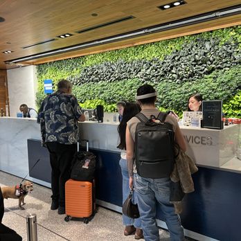 The Centurion Lounge - Check in counter at top of escalator. - Airport Lounges Near Me - Denver, Colorado The Centurion Lounge - Check in counter at top of escalator. - Airport Lounges Near Me - Denver, Colorado