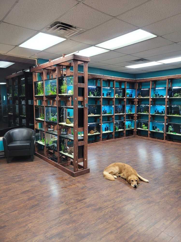 CLEAN AQUARIUMS Request Information 544 Rambow Dr, Monroe, MI Yelp