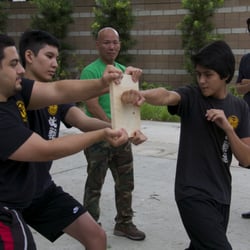 Chosen-Ryu Karate