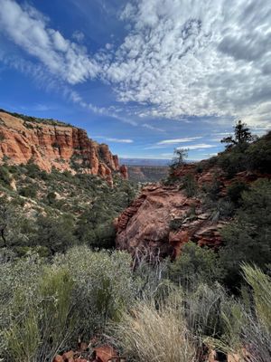 Bear Mountain Trail by null