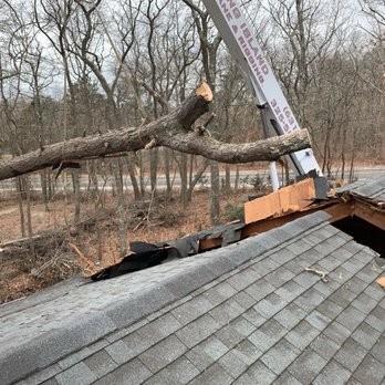 Treetola's Arbor Care Northfork - Storm damage crane work - Tree Services Near Me - Riverhead, New York Treetola's Arbor Care Northfork - Storm damage crane work - Tree Services Near Me - Riverhead, New York