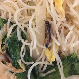 ivory dinnerware sets