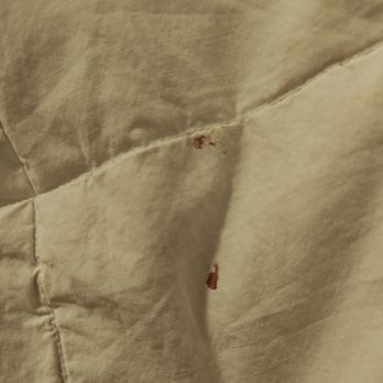 Hyatt Place Buffalo/Amherst - Blood Stain on Bedding. - Venues & Event Spaces Near Me - Amherst, New York Hyatt Place Buffalo/Amherst - Blood Stain on Bedding. - Venues & Event Spaces Near Me - Amherst, New York